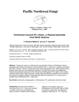 Cortinarius lucorum (Fr.) Karst., a Populus associate from North America