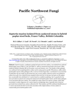 Septoria musiva isolated from cankered stems in hybrid poplar stool beds, Fraser Valley, British Columbia