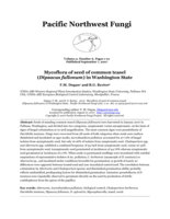 Mycoflora of seed of common teasel (Dipsacus fullonum) in Washington State