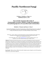 New North American Records of Anamorphic Powdery Mildew Fungi (Erysiphales) Parasitizing Species of Leucothoë and Limnanthes