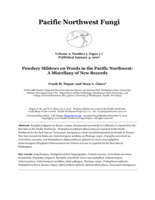 Powdery mildews on weeds in the Pacific Northwest: a miscellany of new records