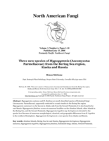 Three new species of Hypogymnia (Ascomycota: Parmeliaceae from the Bering Sea region, Alaska, and Russa