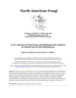 A new species of Camarops and phylogenetic analysis of related taxa in the Boliniaceae