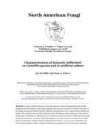 Characterization of Seuratia millardetii on Camellia species and in artificial culture