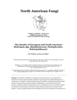 The identity of European and North American Boletopsis spp. (Basidiomycota; Thelephorales, Boletopsidaceae)