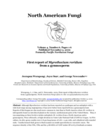 First report of Myrothecium roridum from a gymnosperm. North American Fungi