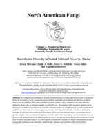 Macrolichen diversity in Noatak National Preserve, Alaska