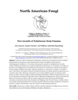 New records of Xylariaceae from Panama