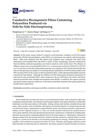 Conductive Bicomponent Fibers Containing Polyaniline Produced via Side-by-Side Electrospinning