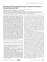 Retinoic acid activates monoamine oxidase B promoter in human neuronal cells