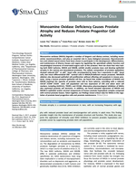 Monoamine Oxidase Deficiency Causes Prostate Atrophy and Reduces Prostate Progenitor Cell Activity