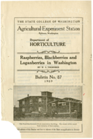 Raspberries, Blackberries and Loganberries in Washington