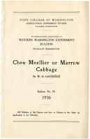 Chou Moellier or Marrow Cabbage