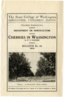 Cherries in Washington