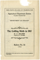 The Codling Moth in 1907