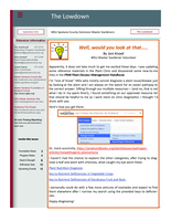 Lowdown, September 2021