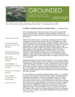 Grounded Newsletter, August 2021