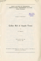 Collar Rot of Apple Trees