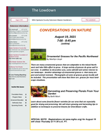 Lowdown, August 2021