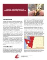 Biology and management of wireworms in western Washington