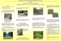 Improving Crop Yield and Soil Quality with Mulches and Cover Crops