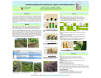 Comparing tillage and mulching for organic orchard performance Acknowledgements