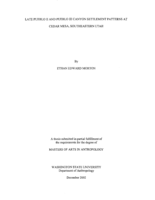Late Pueblo II and Pueblo III Canyon Settlement Patterns at Cedar Mesa, Southeastern Utah