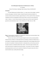 Current Management Approaches for Brettanomyces in a Winery