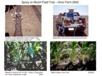 Spray on paper mulch photos