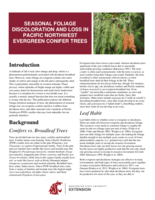 Seasonal foliage discoloration and loss in Pacific Northwest conifer trees