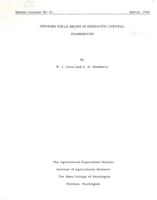 Growing Field Beans in Irrigated Central Washington