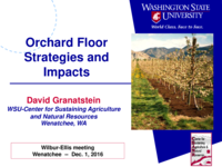 Orchard floor strategies and impacts