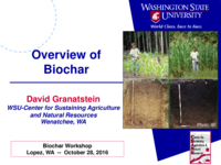 Overview of Biochar
