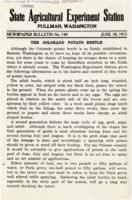 The Colorado Potato Beetle