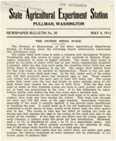 The Oyster Shell Scale