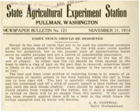 Dairy Stock Should Be Dehorned