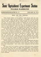 Bean And Pea Weevils