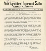 Prevent Winter Injury Of Fruit Trees