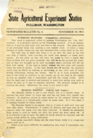 Tumbling Mustard (Cisymbrium altissimum.)