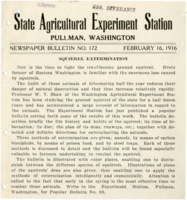 Squirrel Extermination