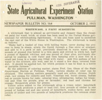 Whitewash, A Paint Substitute