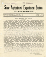 Red Spiders And Mites