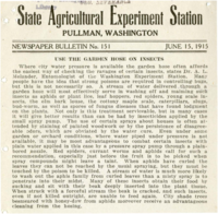 Use The Garden Hose On Insects