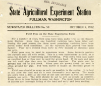 Field Peas on the State Experiment Farm