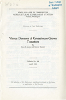 Virous Diseases of Greenhouse-Grown Tomatoes
