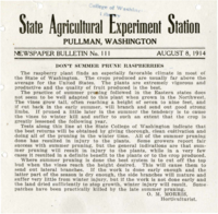 Don't Summer Prune Raspberries