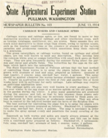 Cabbage Worms And Cabbage Aphis