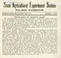 Eradication Of Morning Glory