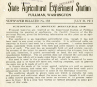 Sunflowers: An Important Agricultural Crop