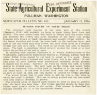 Winter Injury Of Fruit Trees